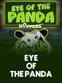 Eye Of The Panda