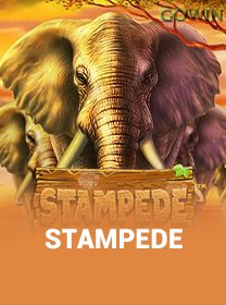 Stampede